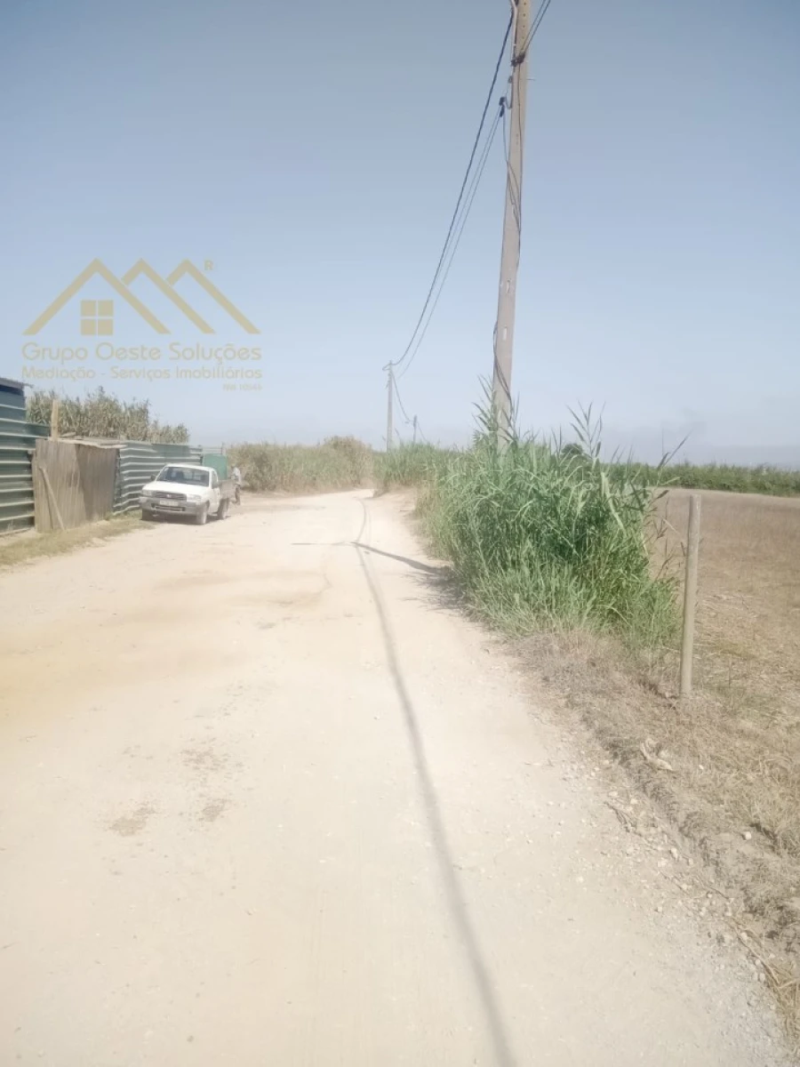 Terreno para Venda em Lourinhã e Atalaia Foto 3