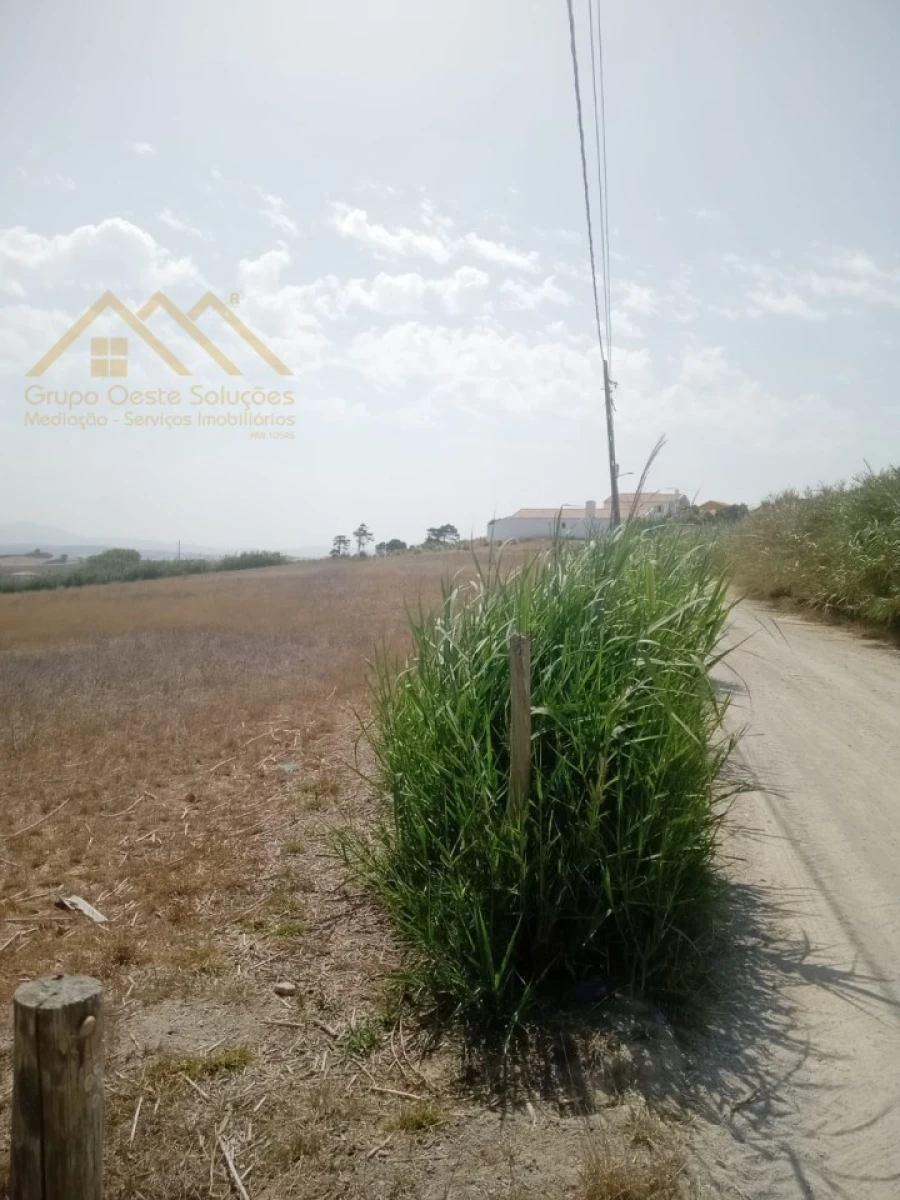 Terreno para Venda em Lourinhã e Atalaia Foto 4