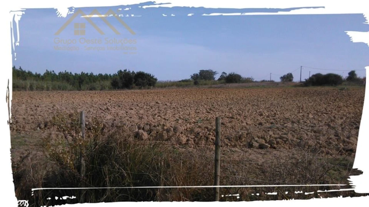 Terreno para Venda em Moita dos Ferreiros Foto 3