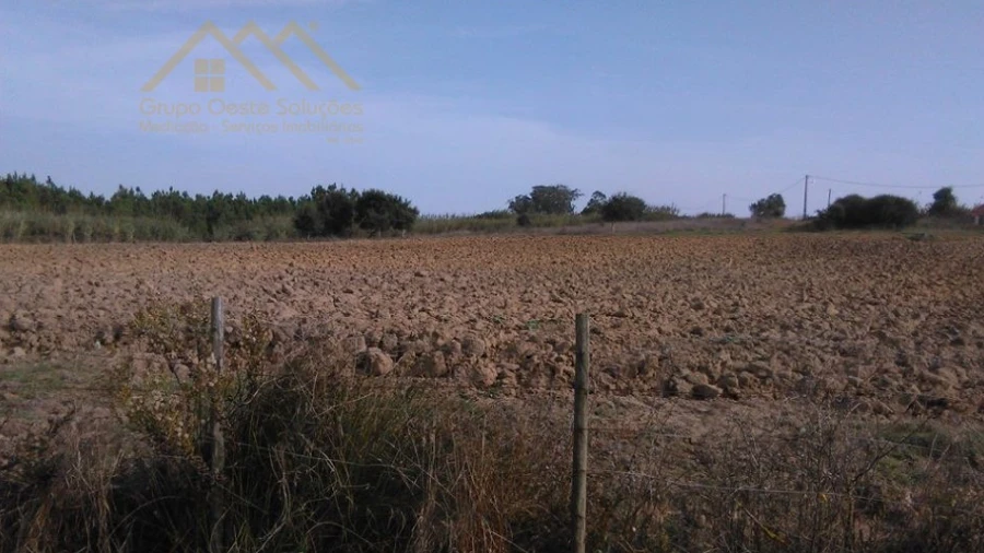 Terreno para Venda em Moita dos Ferreiros