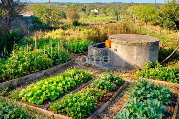 Moradia T2 para Venda em Santiago do Cacém, Santa Cruz e São Bartolomeu da Serra Foto 16