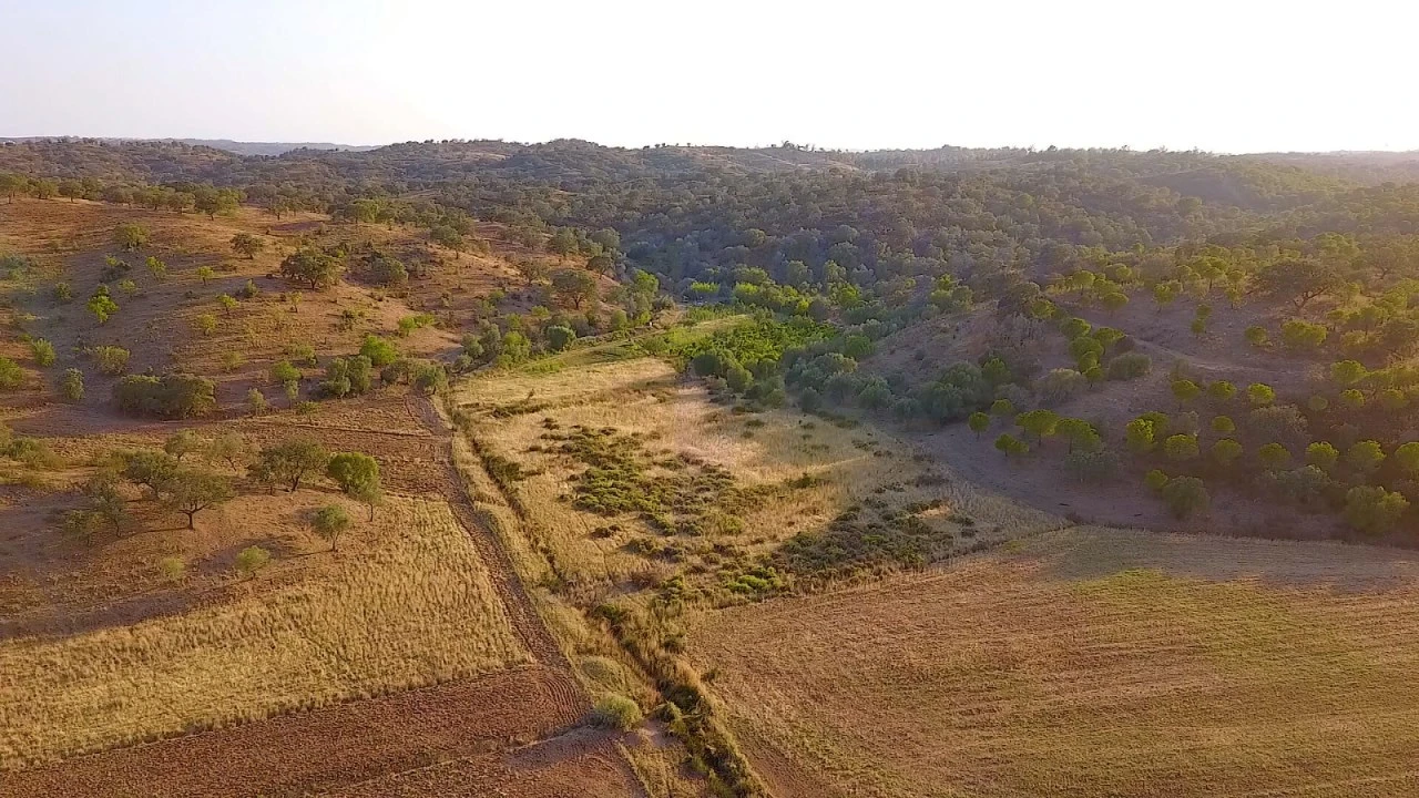 Terreno para Venda em Azinhal Foto 15