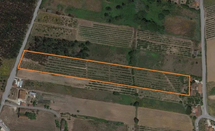 Terreno para Venda em Moita dos Ferreiros