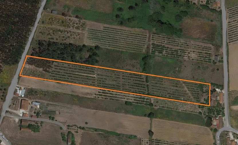 Terreno para Venda em Moita dos Ferreiros Planta 1