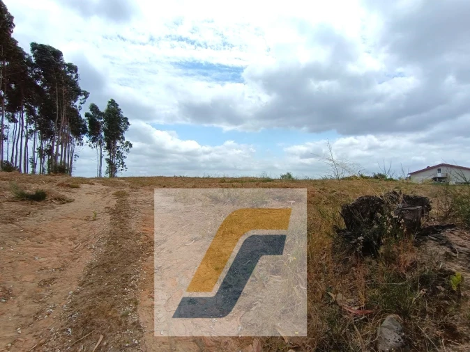 Terreno para Venda em Moita dos Ferreiros Foto 13