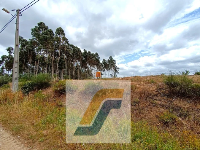 Terreno para Venda em Moita dos Ferreiros Foto 21