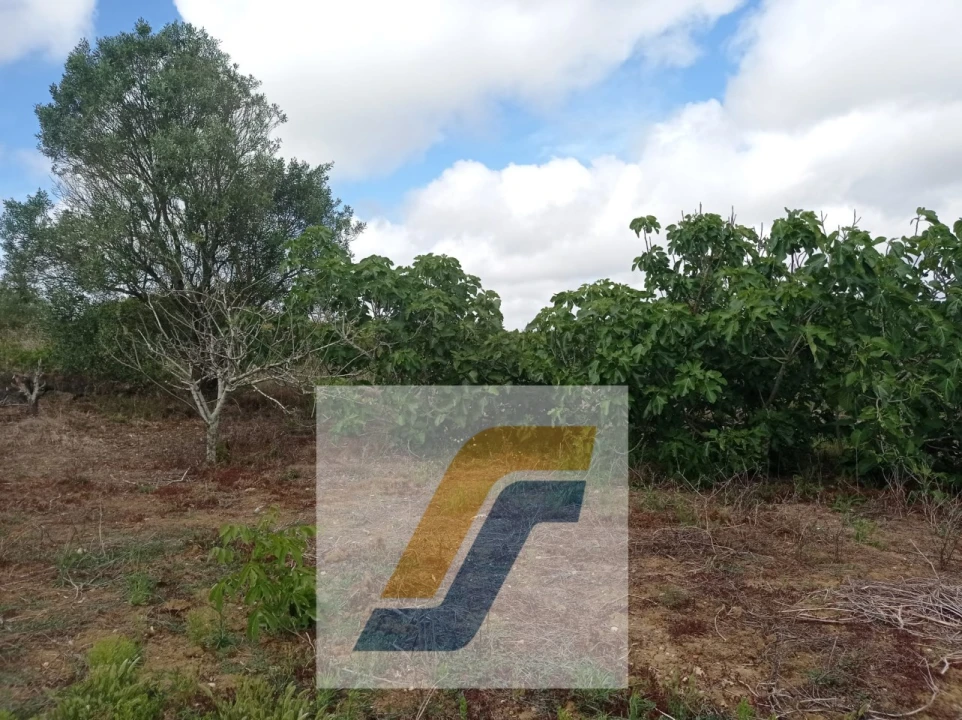 Terreno para Venda em São Bartolomeu dos Galegos e Moledo Foto 10
