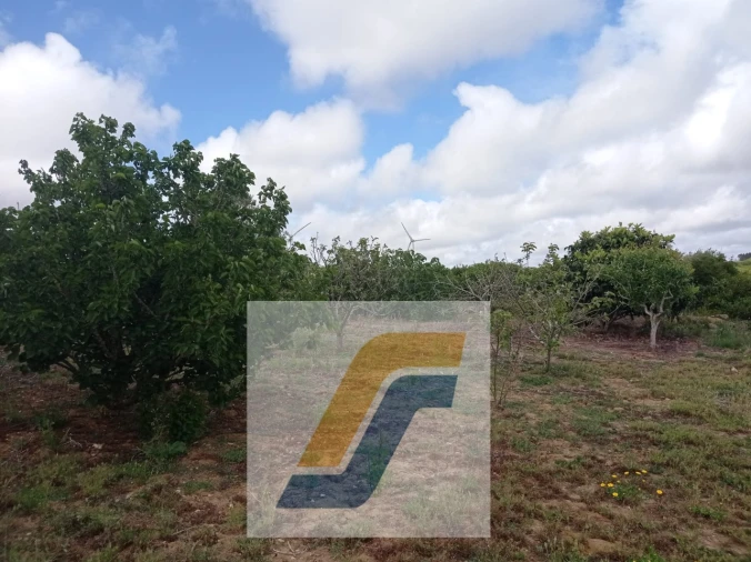 Terreno para Venda em São Bartolomeu dos Galegos e Moledo Foto 6