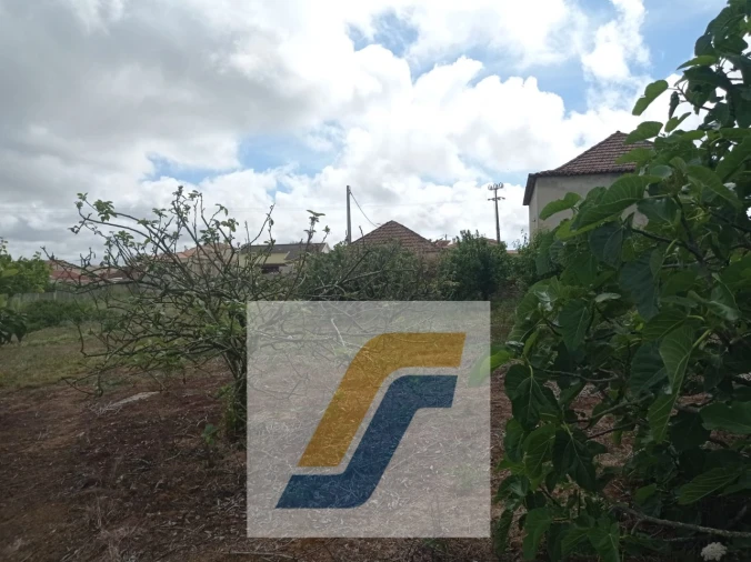 Terreno para Venda em São Bartolomeu dos Galegos e Moledo Foto 9