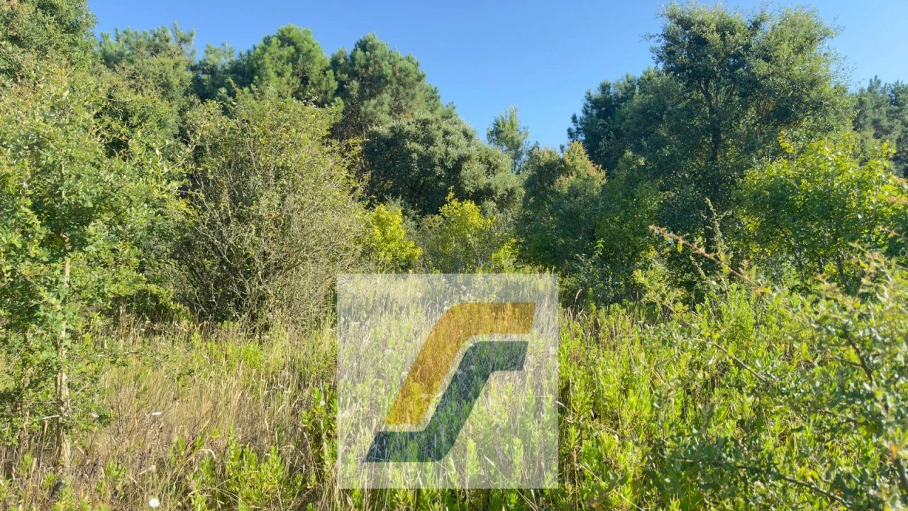 Terreno para Venda em Bombarral e Vale Covo Foto 22