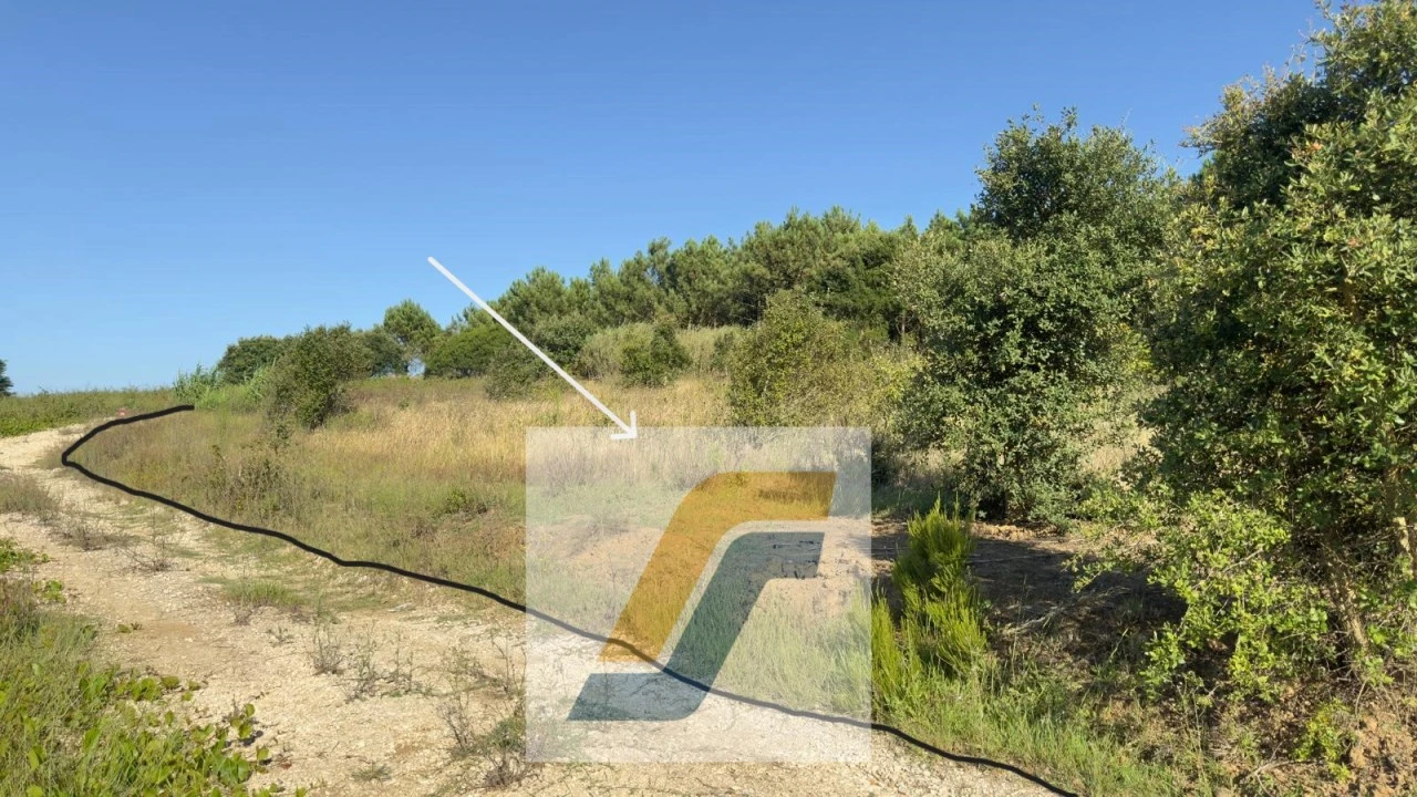 Terreno para Venda em Bombarral e Vale Covo Foto 23