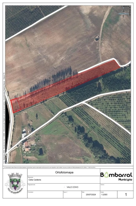 Terreno para Venda em Bombarral e Vale Covo