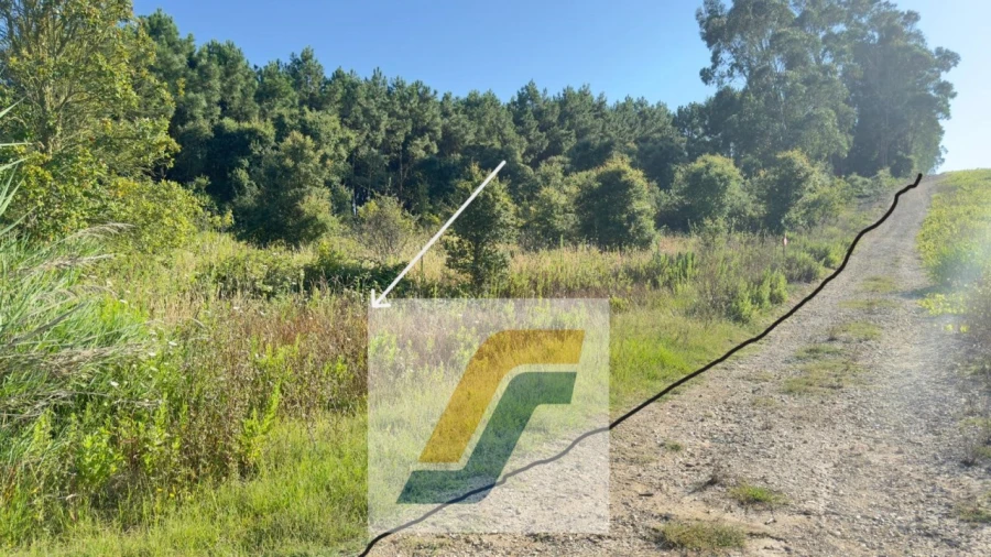 Terreno para Venda em Bombarral e Vale Covo Foto 4