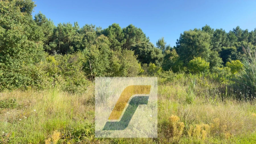 Terreno para Venda em Bombarral e Vale Covo Foto 9