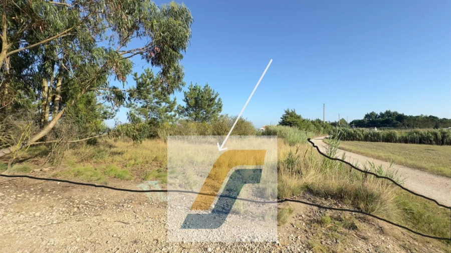 Terreno para Venda em Bombarral e Vale Covo Foto 12