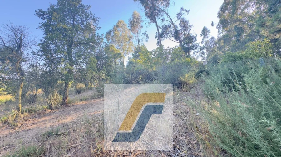 Terreno para Venda em Bombarral e Vale Covo Foto 14