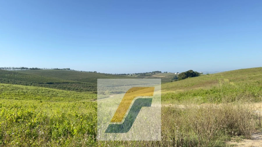 Terreno para Venda em Bombarral e Vale Covo Foto 27