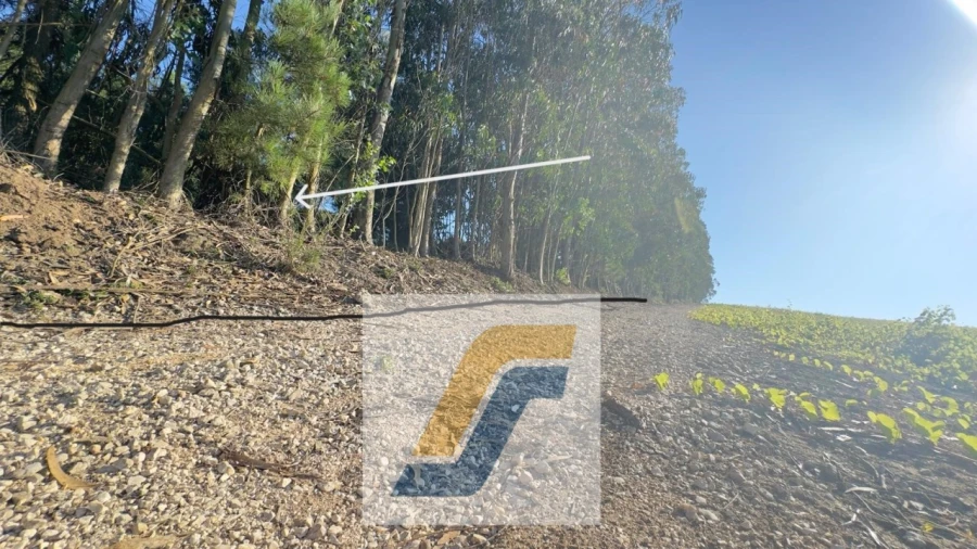 Terreno para Venda em Bombarral e Vale Covo Foto 24