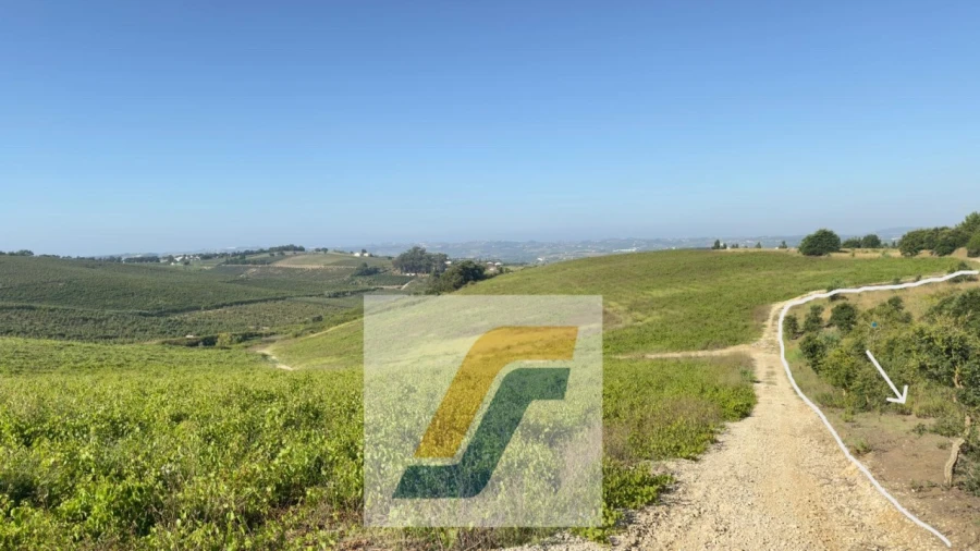 Terreno para Venda em Bombarral e Vale Covo Foto 25