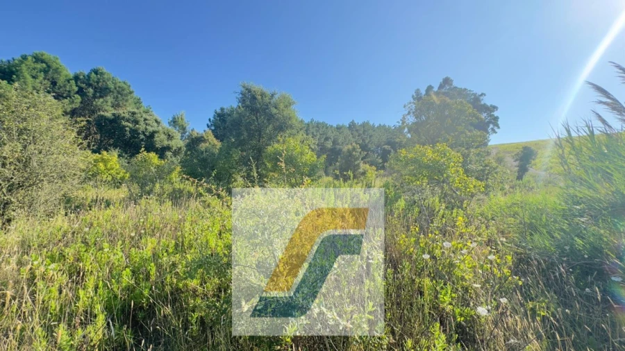 Terreno para Venda em Bombarral e Vale Covo Foto 26