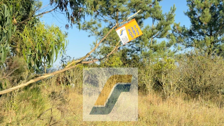Terreno para Venda em Bombarral e Vale Covo