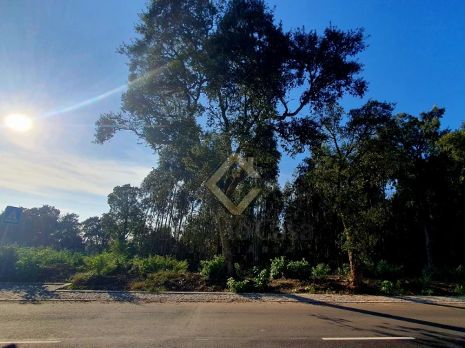 Terreno para Venda em Arcozelo Foto 2