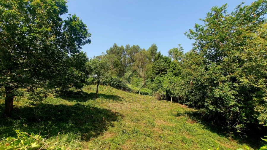 Terreno para Venda em Vilar de Andorinho Foto 5