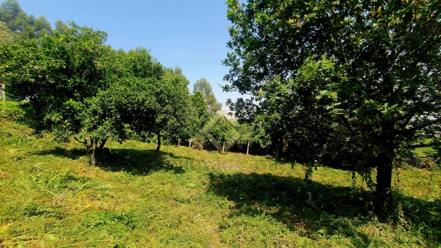 Terreno para Venda em Vilar de Andorinho Foto 6