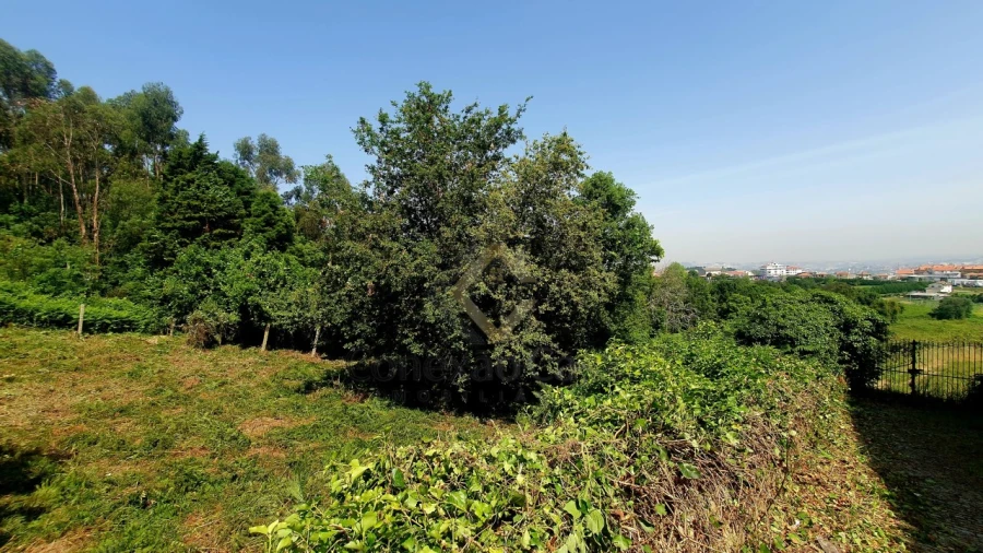 Terreno para Venda em Vilar de Andorinho Foto 8
