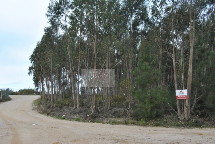 Terreno para Venda em Tornada e Salir do Porto Foto 2
