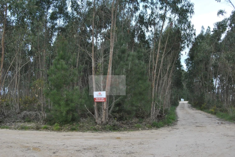 Terreno para Venda em Tornada e Salir do Porto Foto 3