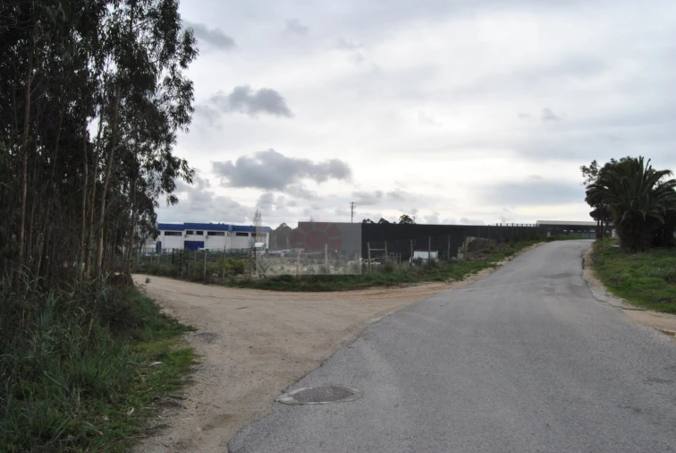 Terreno para Venda em Tornada e Salir do Porto Foto 6