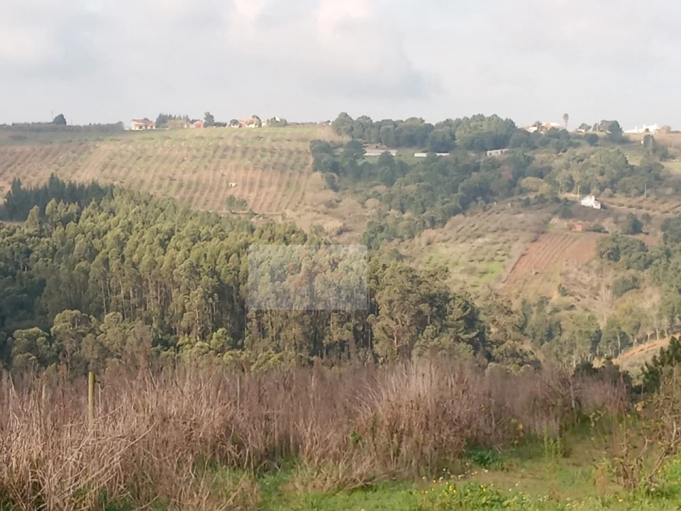Terreno para Venda em Carvalhal Foto 1