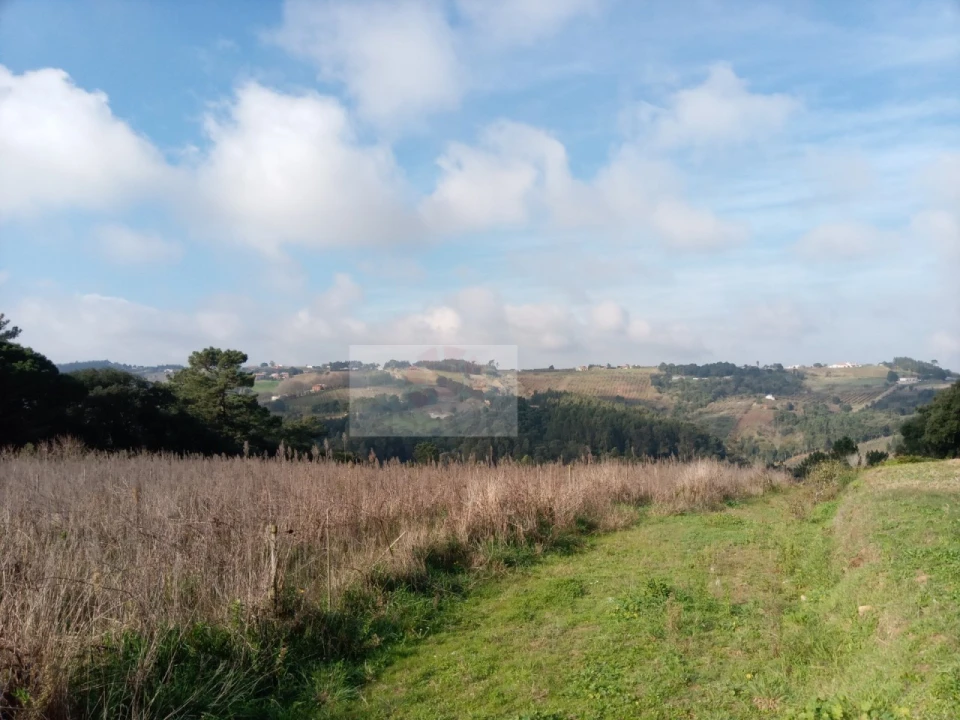 Terreno para Venda em Carvalhal Foto 2