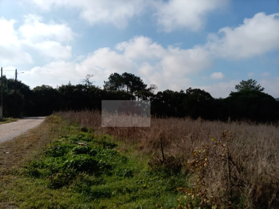 Terreno para Venda em Carvalhal Foto 4