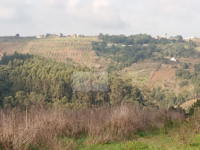 Terreno para Venda em Carvalhal Foto 1