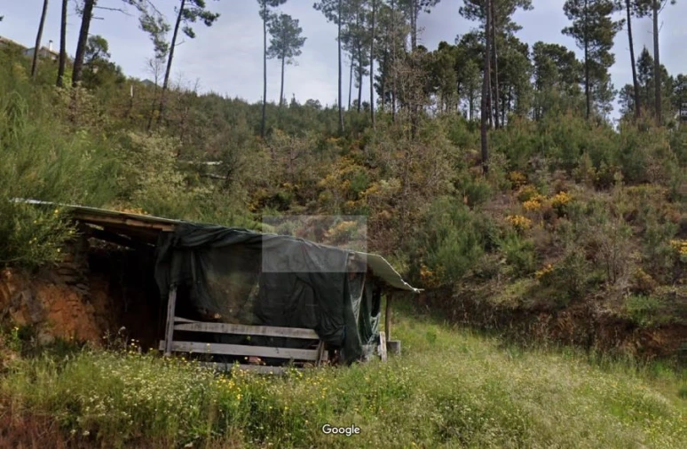 Terreno para Venda em Souto da Casa Foto 1