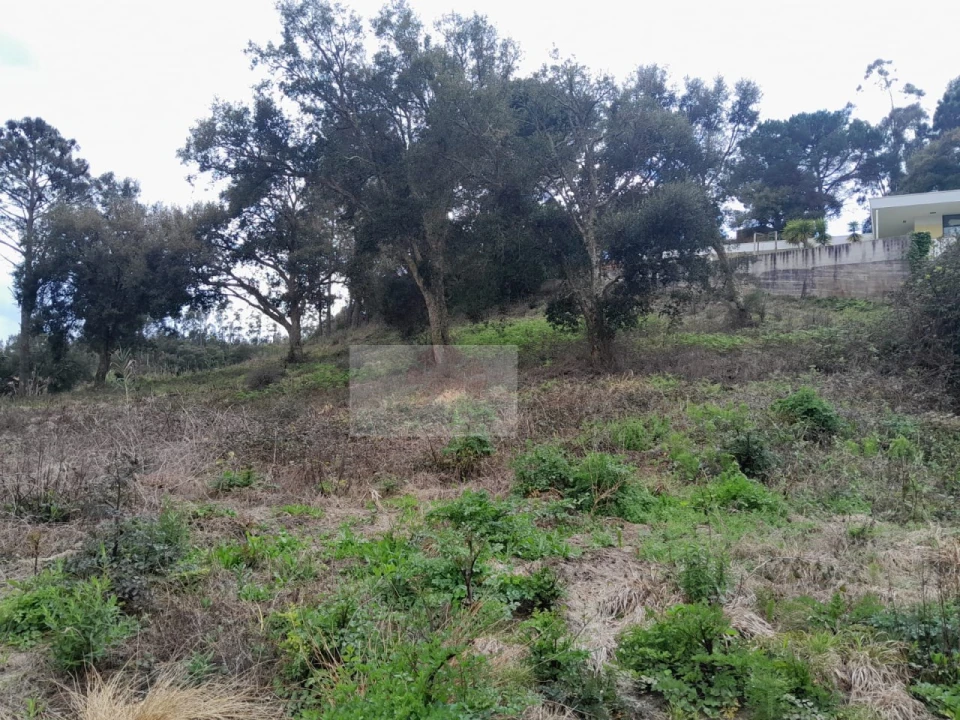 Terreno para Venda em Salir de Matos Foto 5