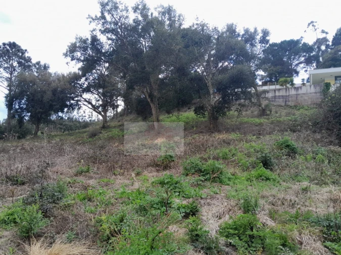 Terreno para Venda em Salir de Matos Foto 5