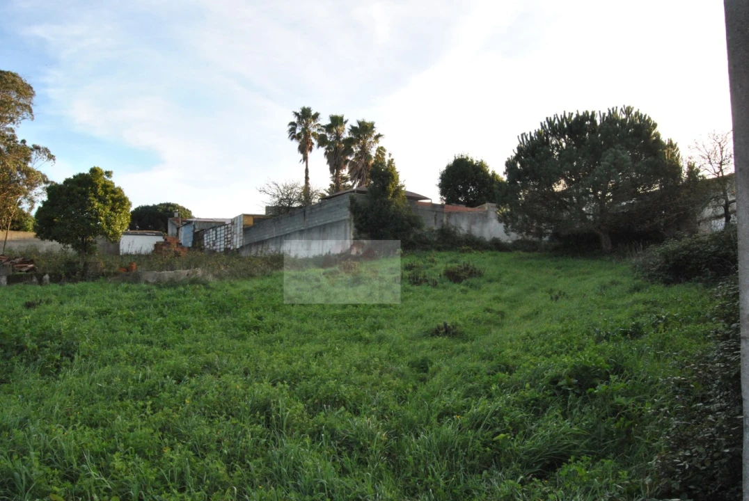 Terreno para Venda em Tornada e Salir do Porto Foto 2
