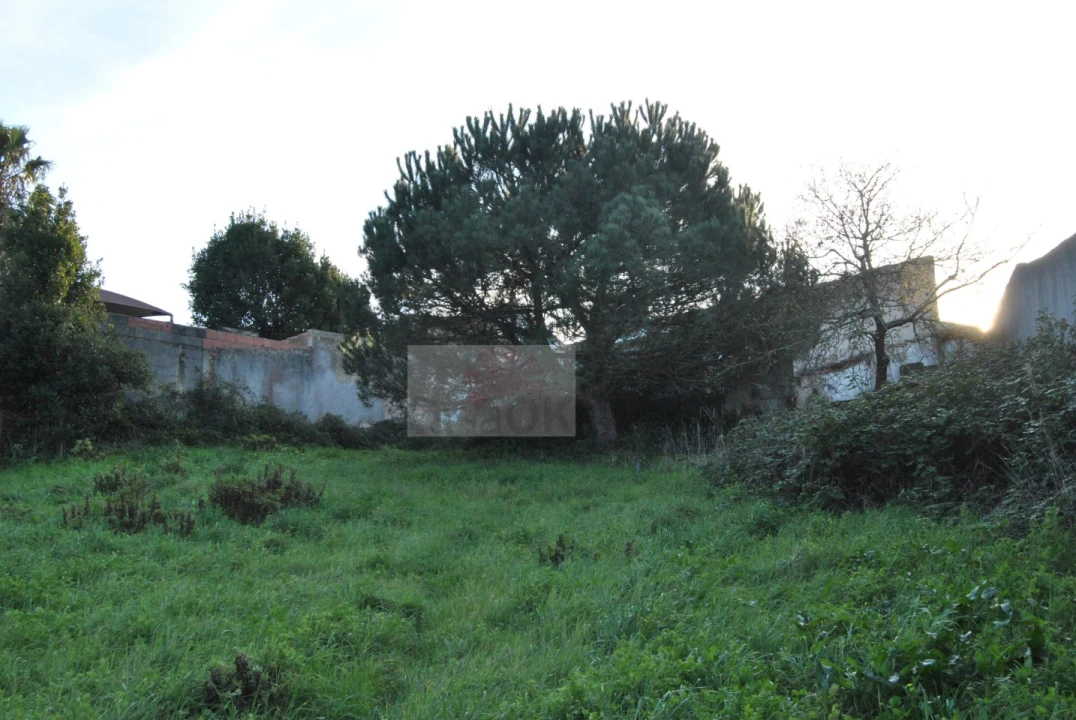 Terreno para Venda em Tornada e Salir do Porto Foto 4