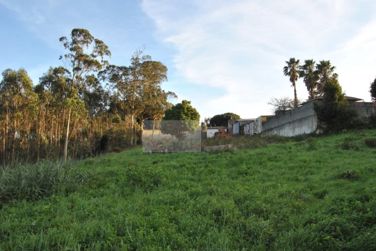 Terreno para Venda em Tornada e Salir do Porto Foto 1