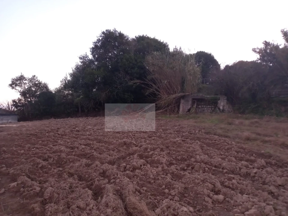 Terreno para Venda em Salir de Matos Foto 2