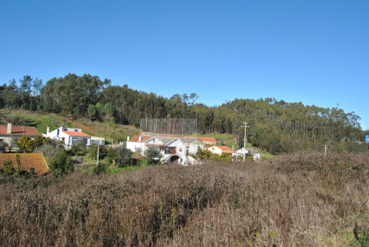 Terreno para Venda em Rio Maior Foto 2