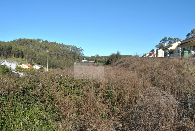 Terreno para Venda em Rio Maior Foto 3