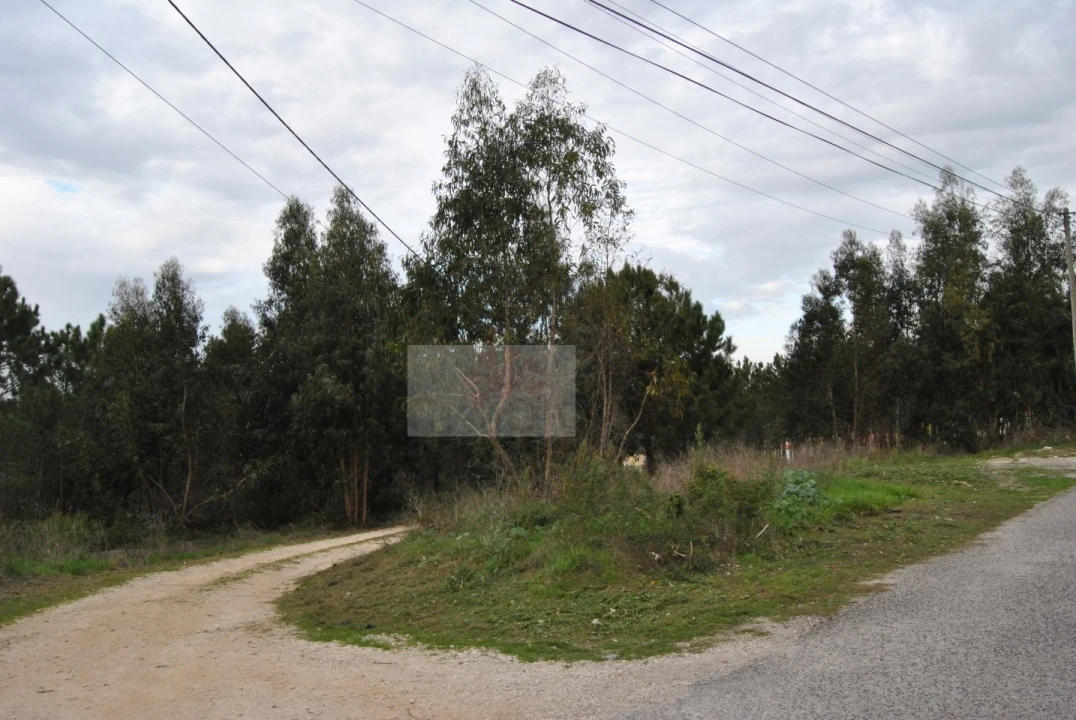 Terreno para Venda em Tornada e Salir do Porto Foto 2