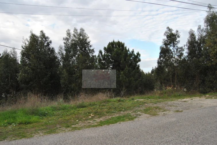Terreno para Venda em Tornada e Salir do Porto Foto 3