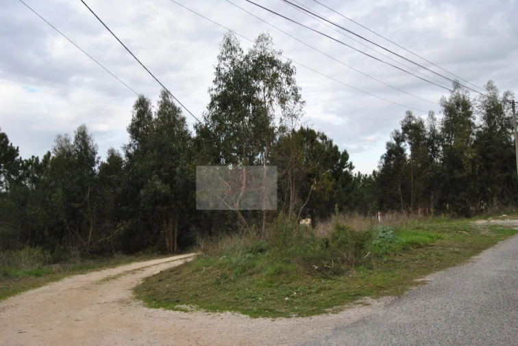 Terreno para Venda em Tornada e Salir do Porto Foto 2