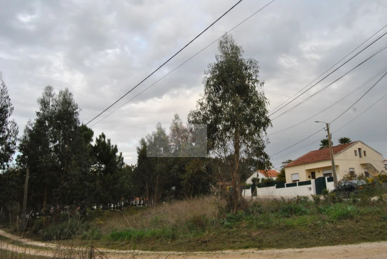 Terreno para Venda em Tornada e Salir do Porto Foto 4