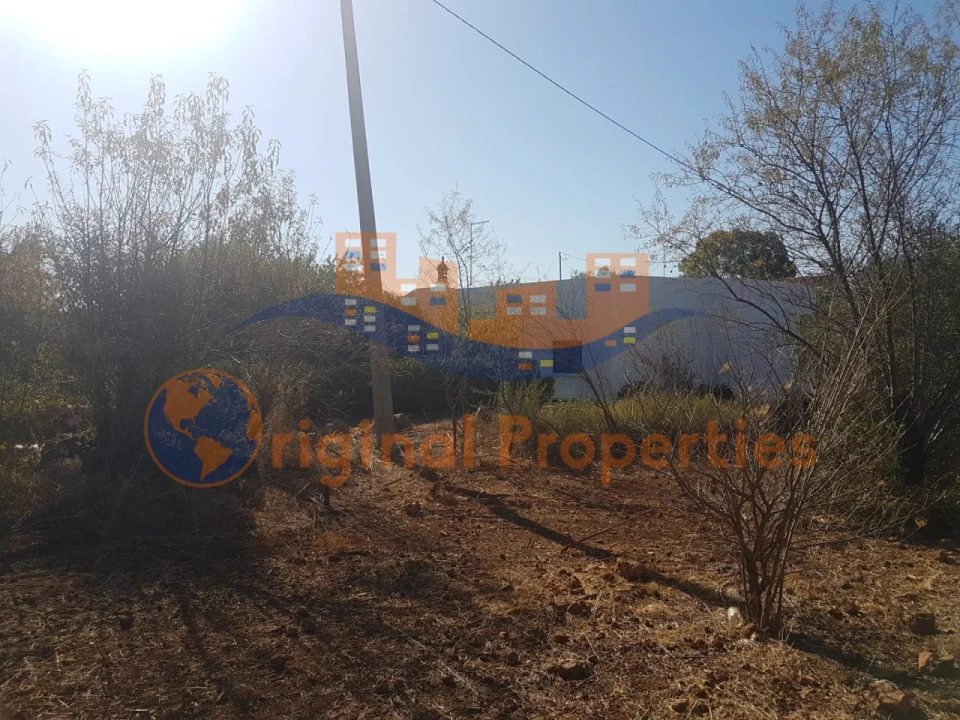 Terreno para Venda em Salir Foto 7